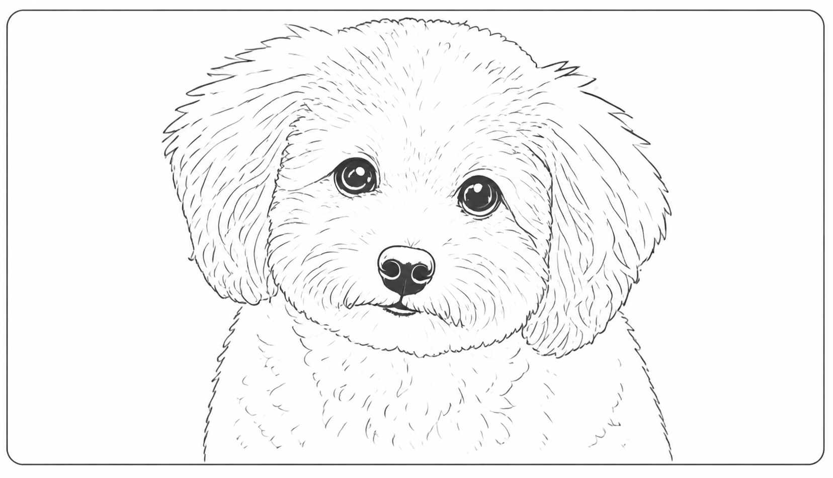 犬の線画