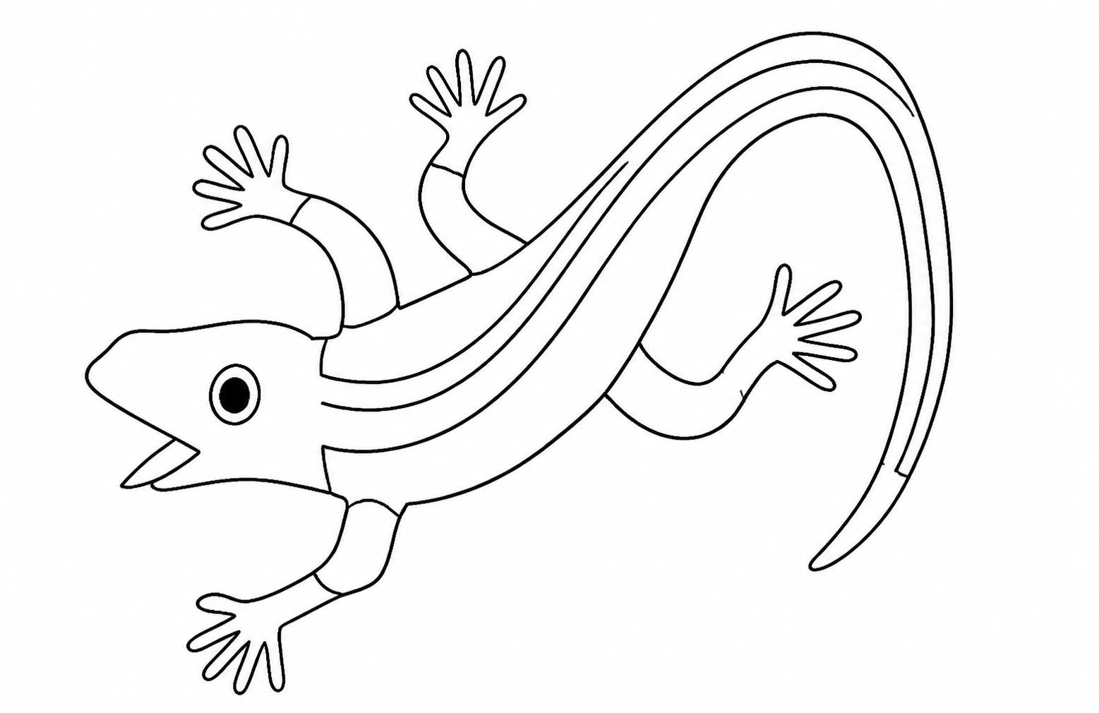 線画